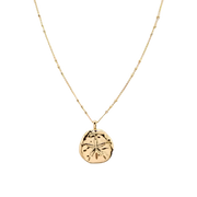 Cove Sand Dollar Necklace